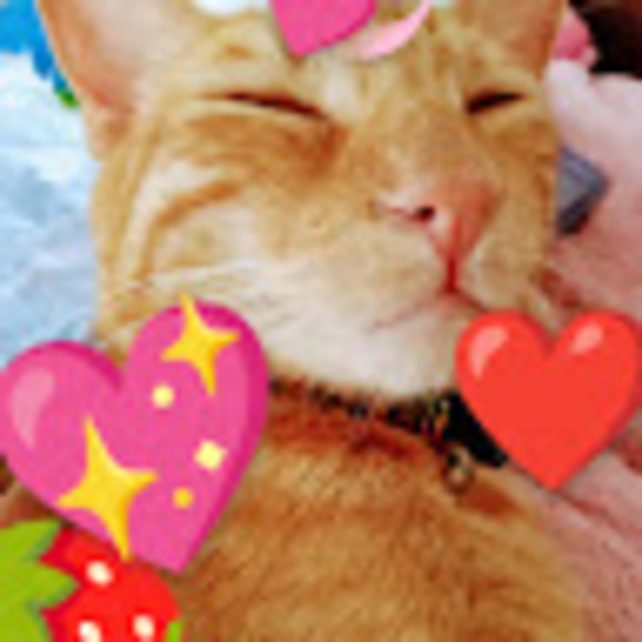 cosmo_zep